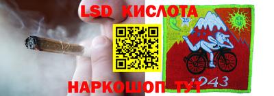 ПСИЛОЦИБИНОВЫЕ ГРИБЫ Рязань
