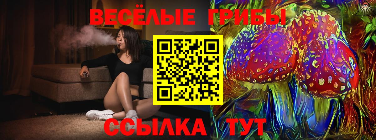Псилоцибиновые грибы ЛСД  Вход с VPN  Новочебоксарск  Псилоцибиновые грибы ЛСД 